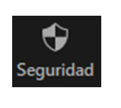 Icono seguridad